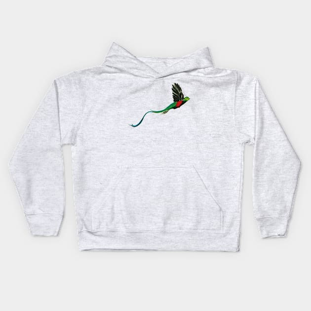 Costa Rica Quetzal Watercolor Kids Hoodie by julyperson